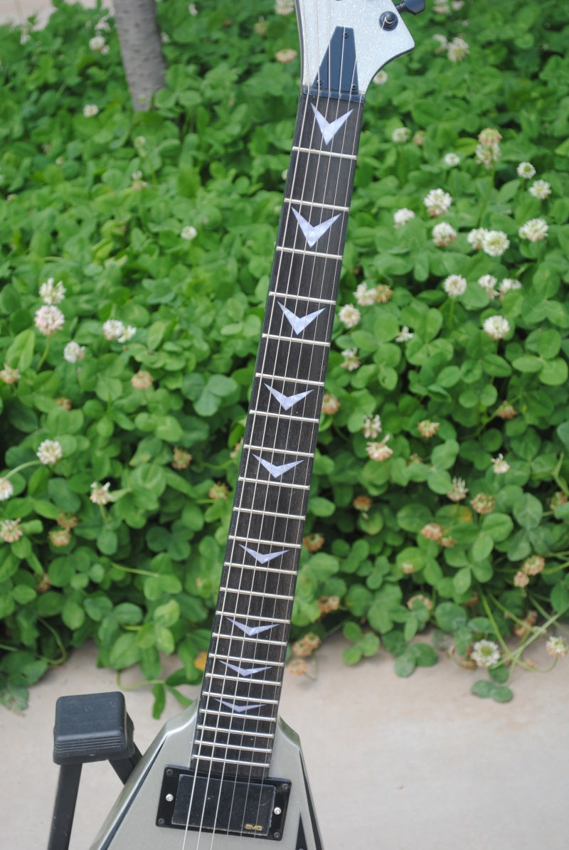 Customize Electric Guitar LSM042