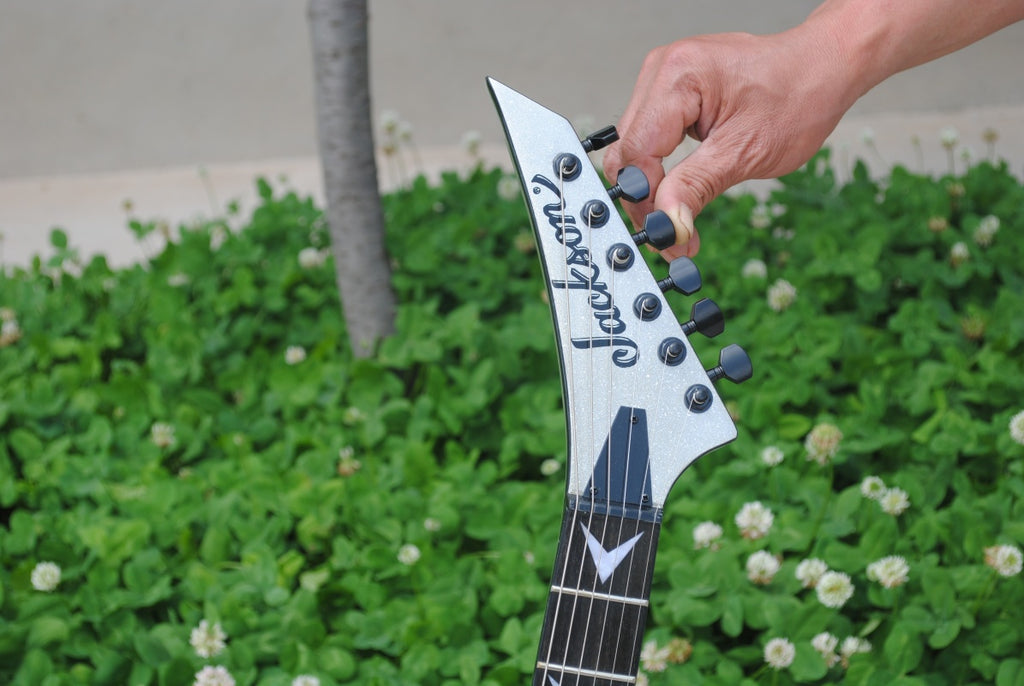 Customize Electric Guitar LSM042