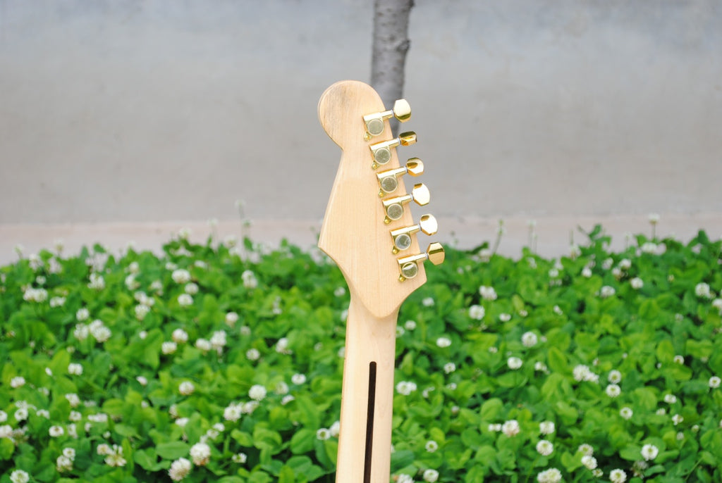 Customize Electric Guitar LSM150