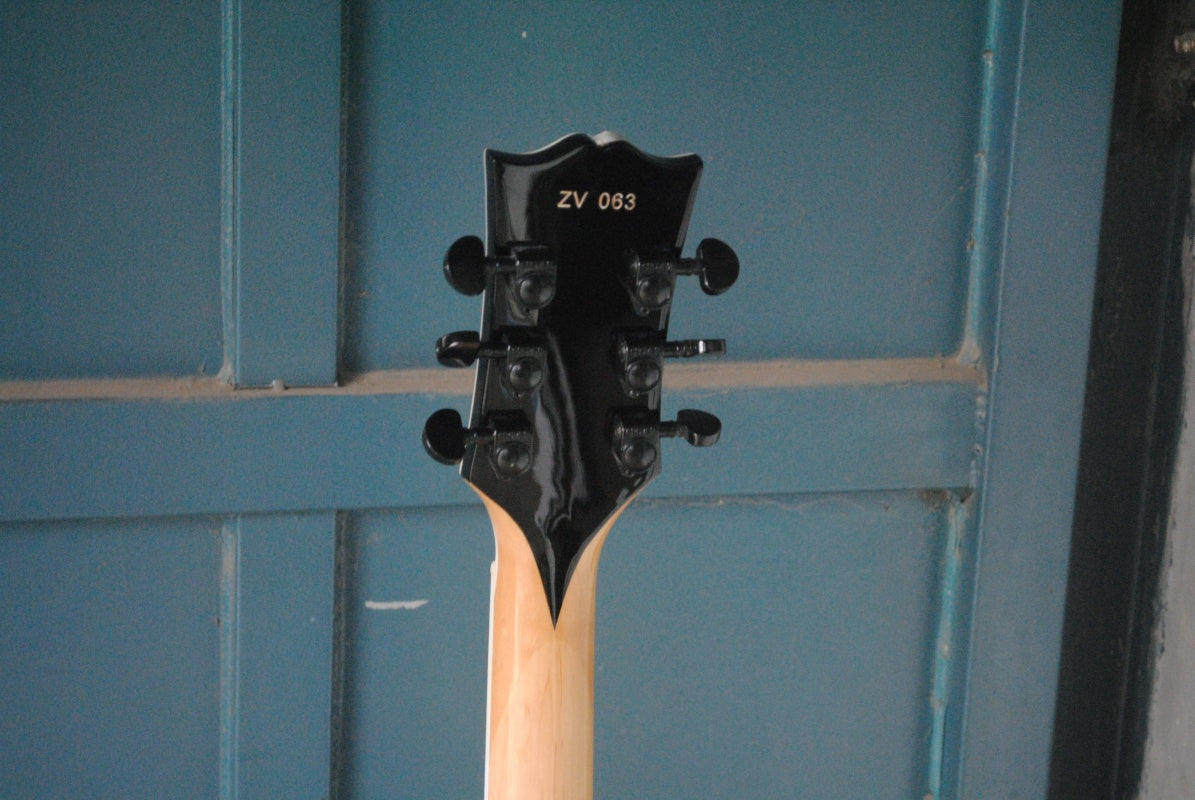 Customize Electric Guitar LSM048