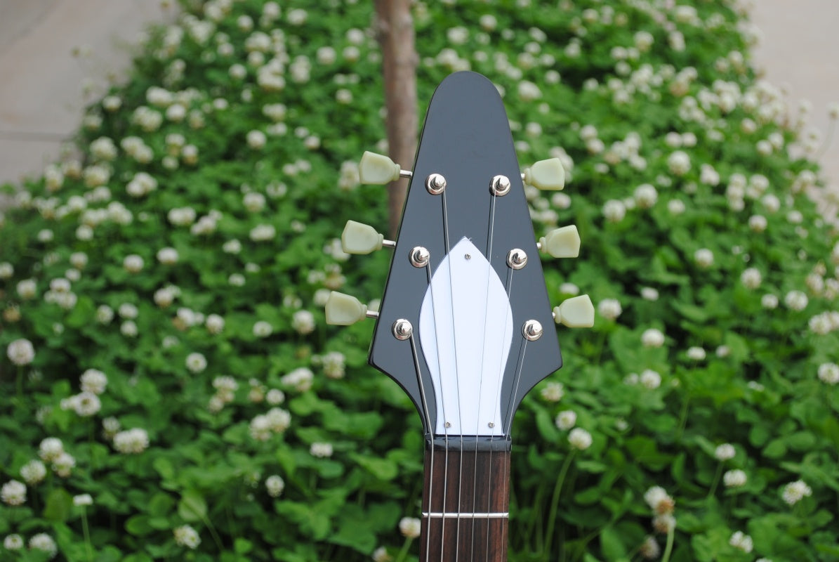 Customize Electric Guitar LSM028
