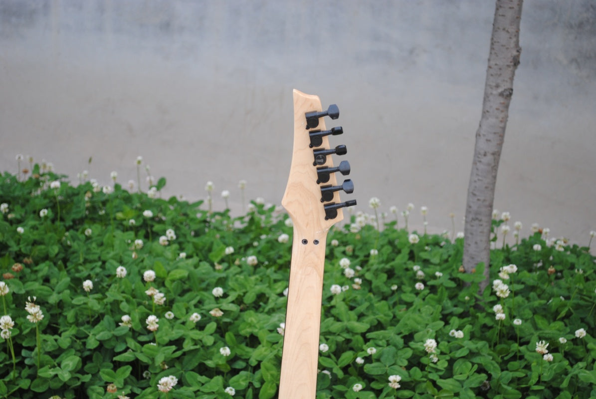Customize Electric Guitar LSM055
