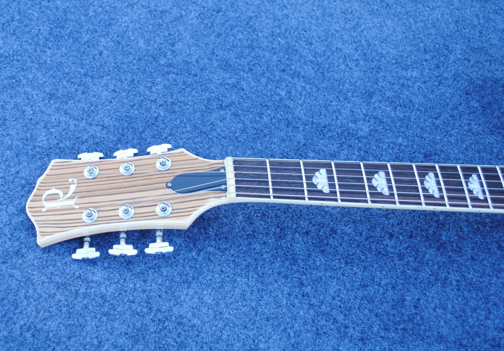 Customize Electric Guitar LSM095