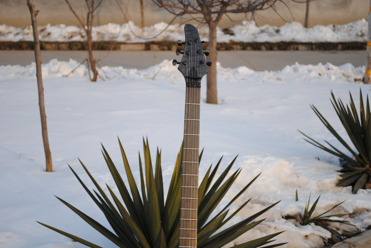 Customize Electric Guitar LSM049