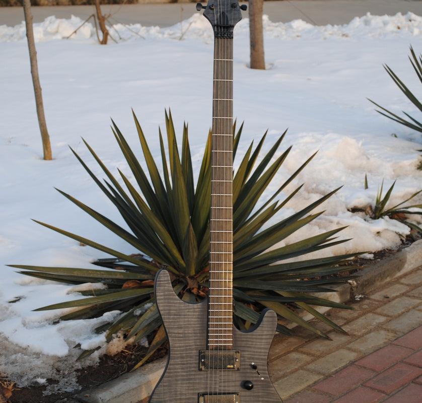 Customize Electric Guitar LSM049