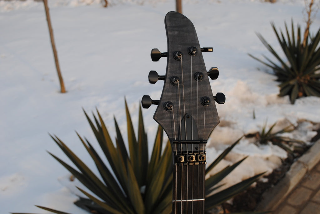 Customize Electric Guitar LSM049