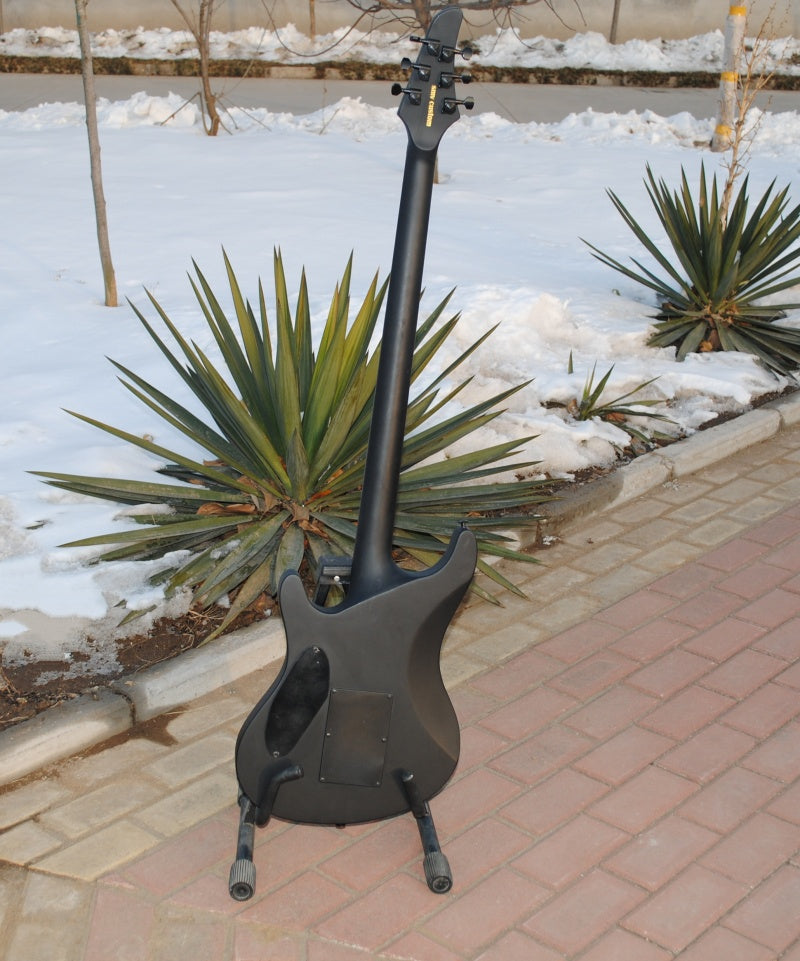 Customize Electric Guitar LSM049