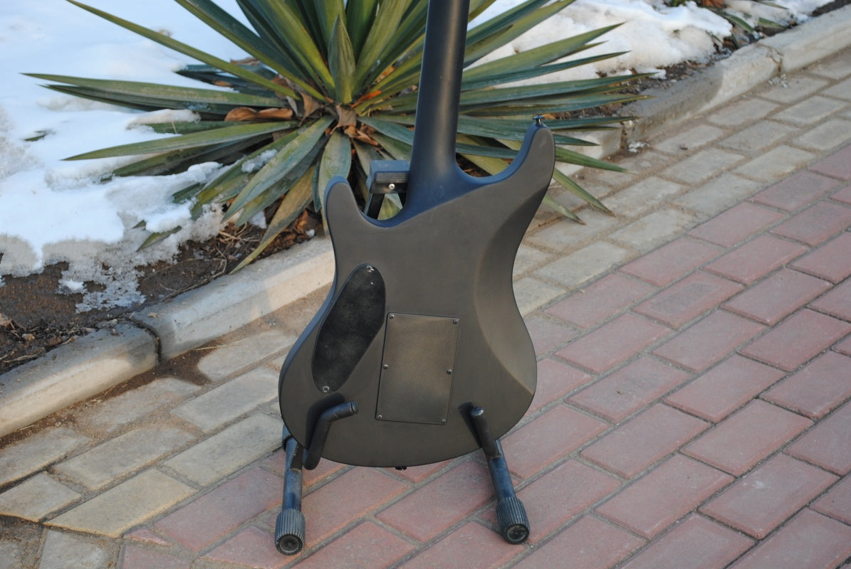 Customize Electric Guitar LSM049