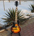 Customize Electric Guitar LSM091