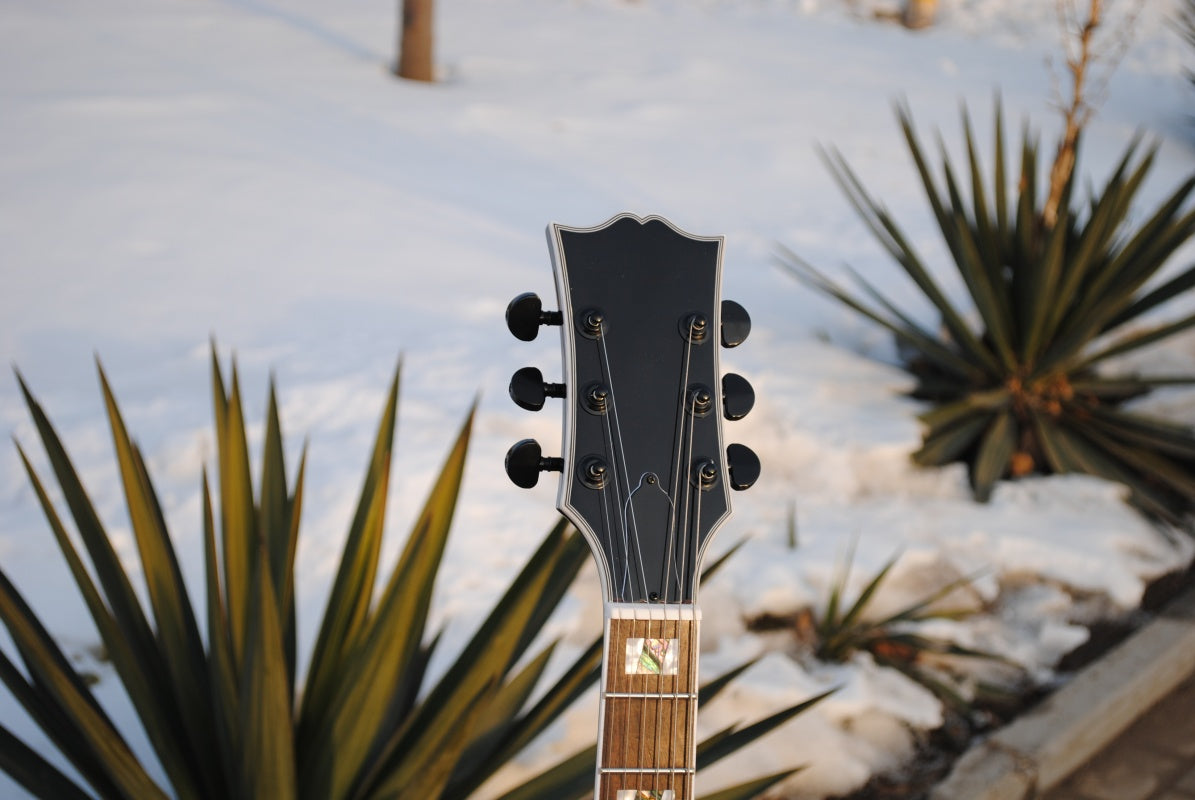 Customize Electric Guitar LSM091