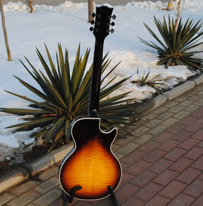 Customize Electric Guitar LSM091