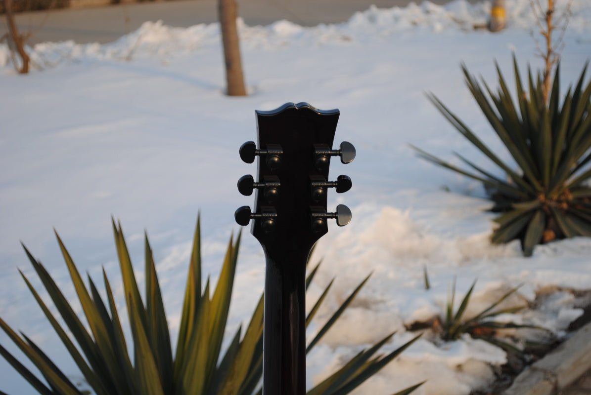 Customize Electric Guitar LSM091