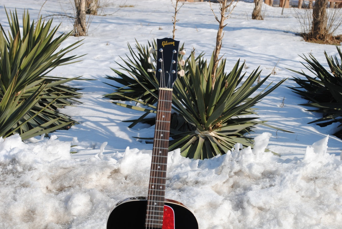 Customize Electric Guitar LSM086