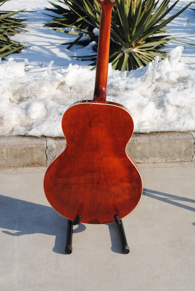 Customize Electric Guitar LSM086