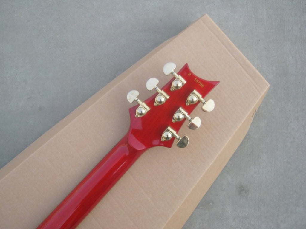Customize Electric Guitar LSM157