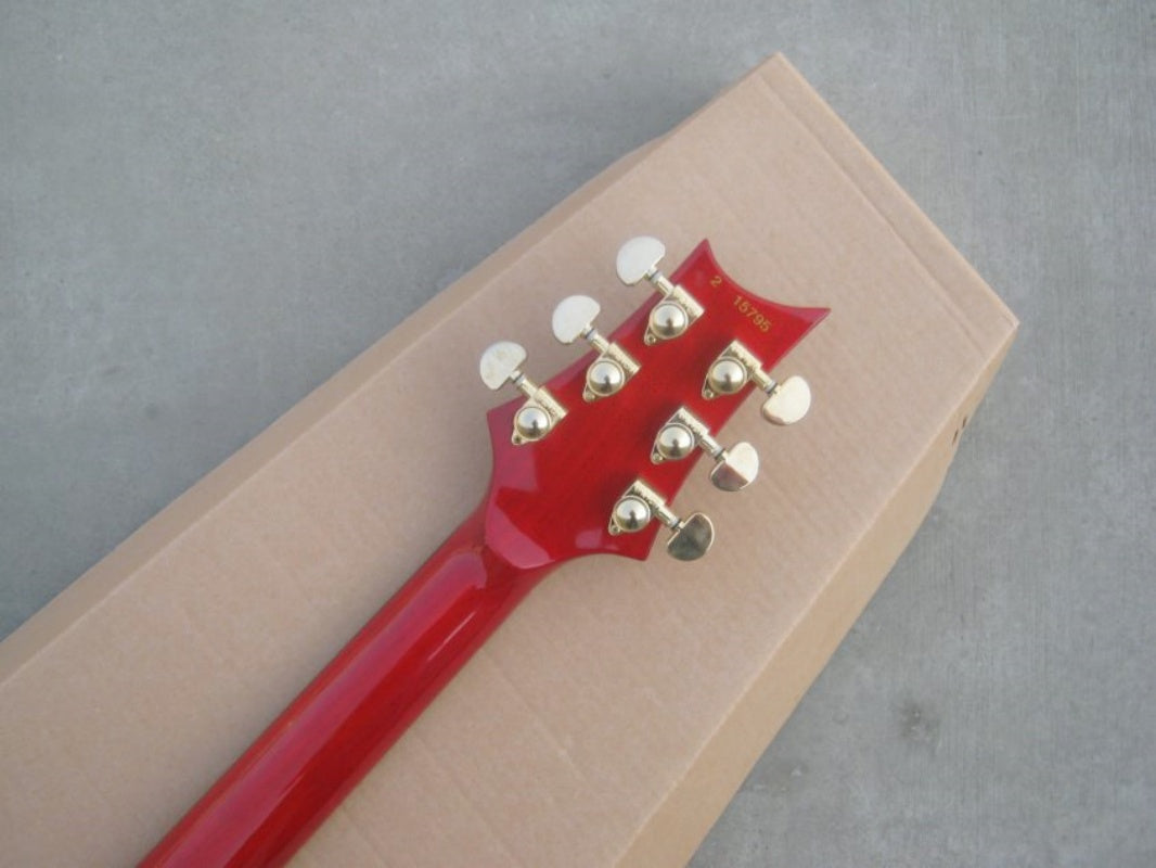 Customize Electric Guitar LSM157