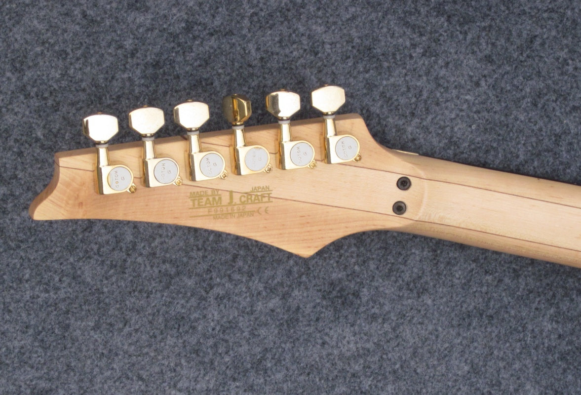 Customize White Color  Electric Guitar  JEM7V Steve Vai Signature Style White Electric Guitar Tree of Life Vine Inlay Fretboard Double Lock Floyd Rose Tremolo Gold Hardware HH Pickups Shred Metal Guitar Free Shipping  Lba Z29
