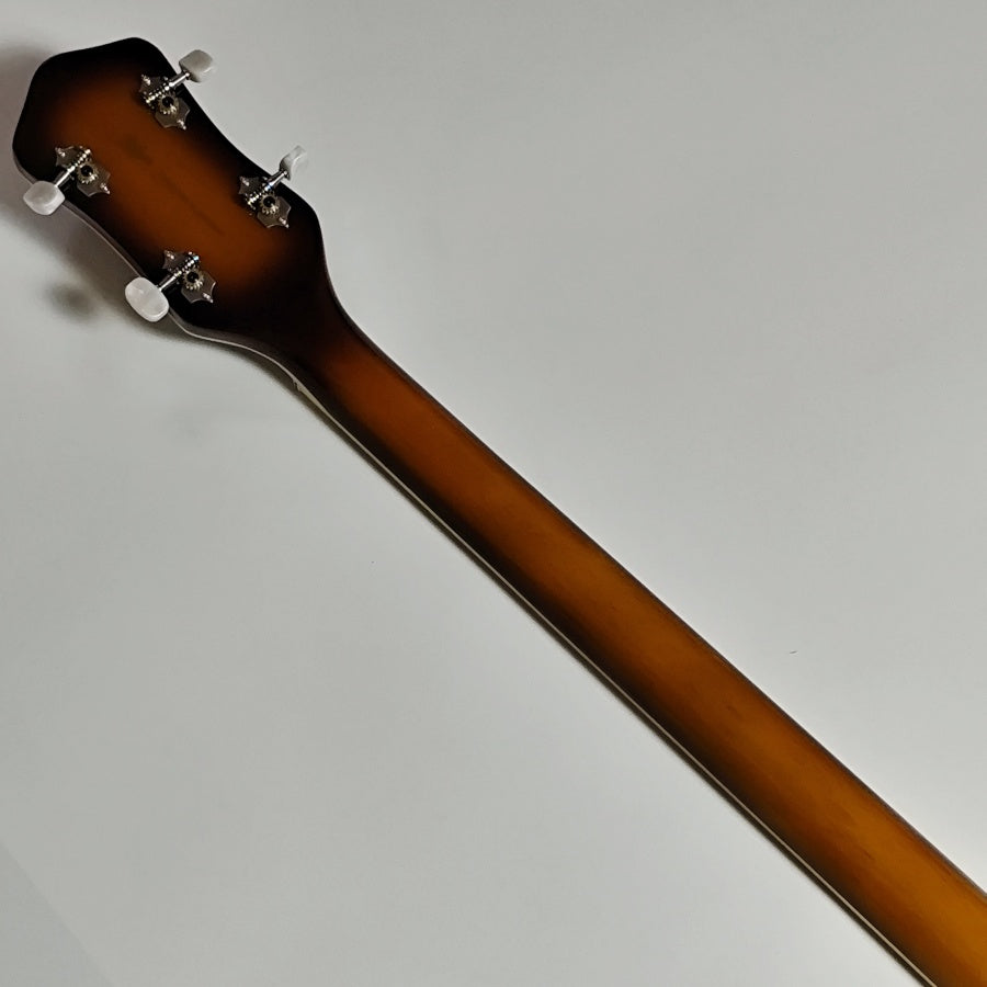 Custom Chaobo Warm-toned Sunset Color Hollow Body Electric Jazz music Bass with Quilted Maple Top CT  Z4#