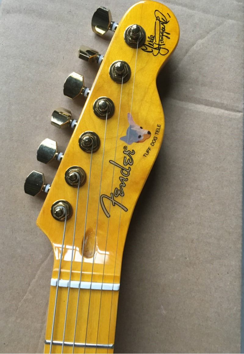 Customize Electric Guitar LSM121