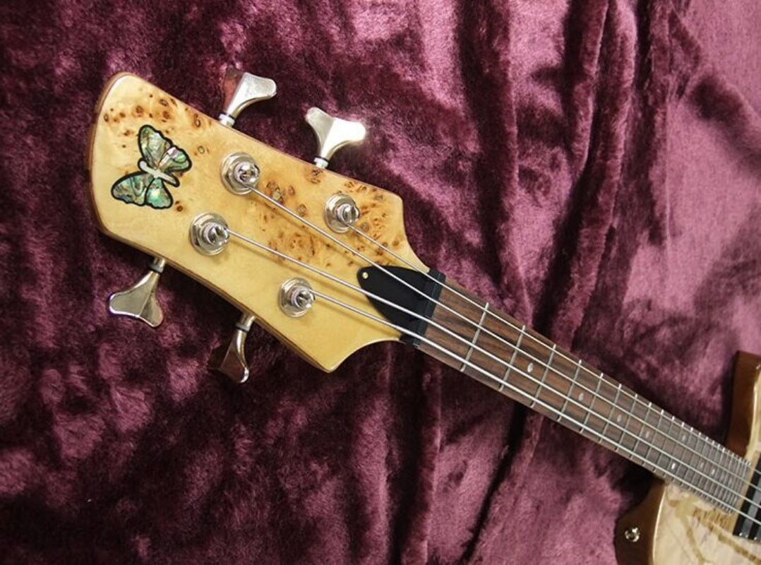 Customize Electric Guitar LSM137