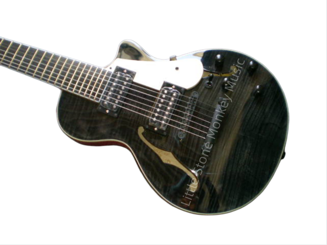 Customize Electric Guitar LSM089
